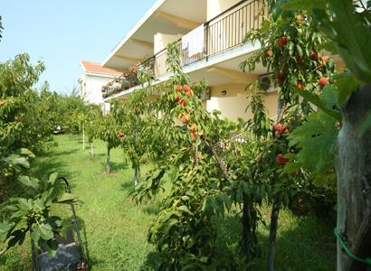 Bed And Breakfast Cirelli Scalea Kültér fotó